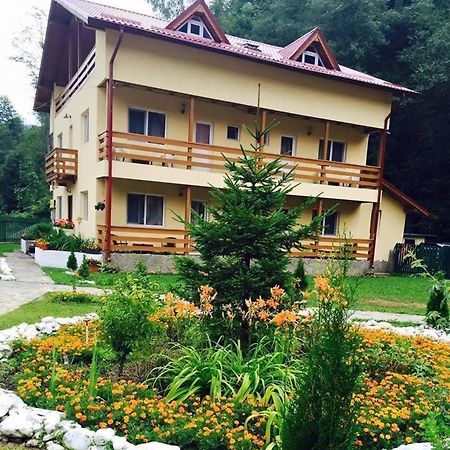 Hotel Pensiunea La Padure Cheia, Prahova Măneciu Exterior foto