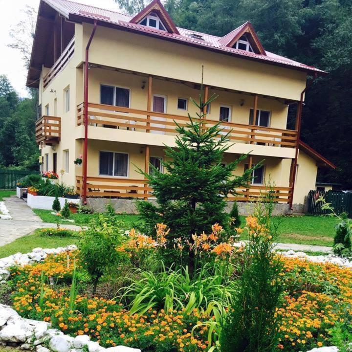 Hotel Pensiunea La Padure Cheia, Prahova Măneciu Exterior foto