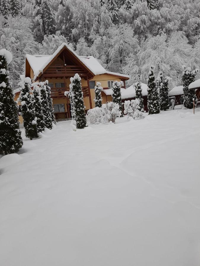Hotel Pensiunea La Padure Cheia, Prahova Măneciu Exterior foto
