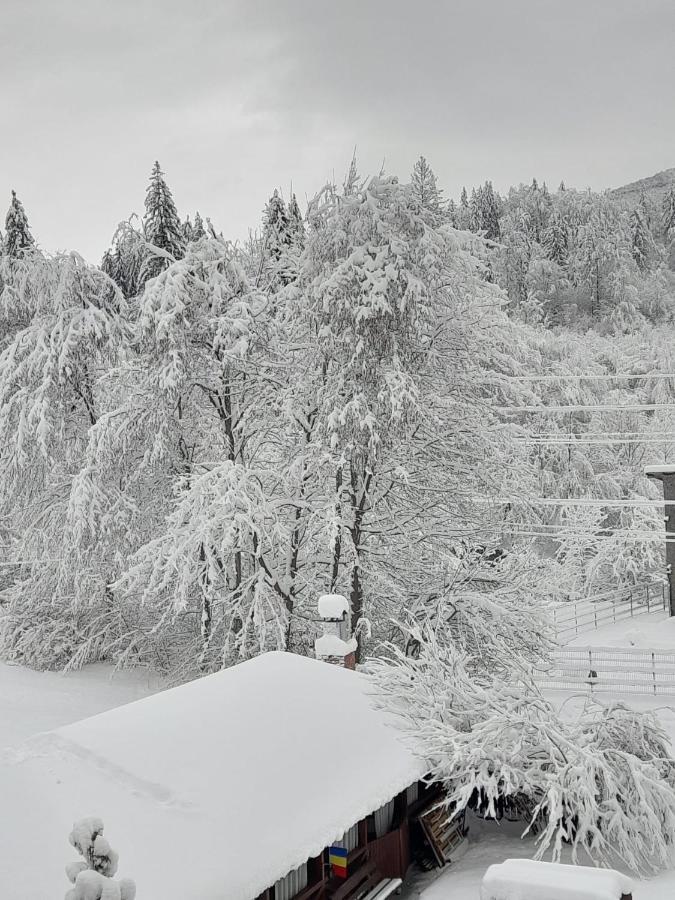 Hotel Pensiunea La Padure Cheia, Prahova Măneciu Exterior foto