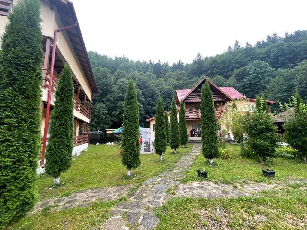 Hotel Pensiunea La Padure Cheia, Prahova Măneciu Exterior foto
