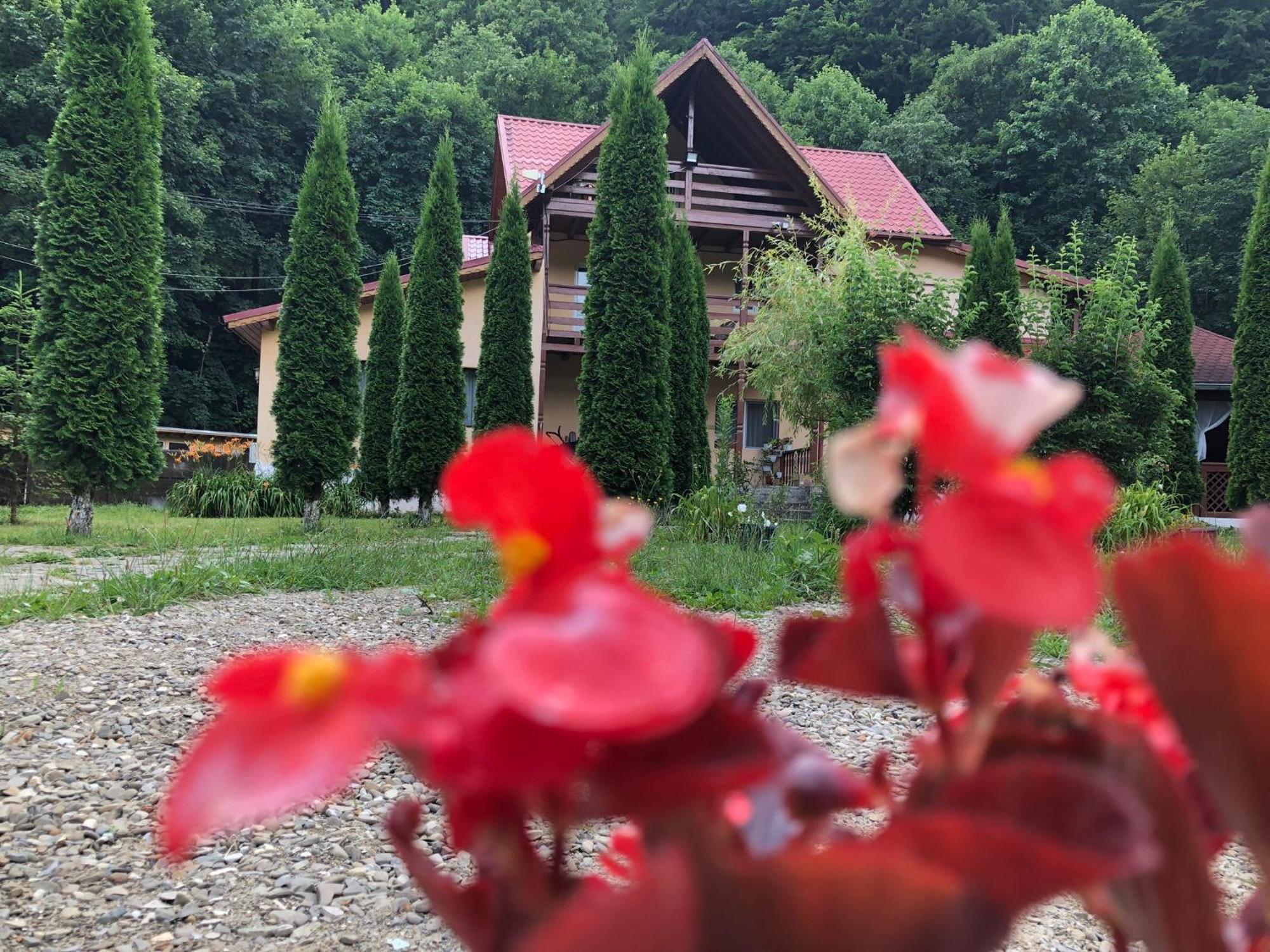 Hotel Pensiunea La Padure Cheia, Prahova Măneciu Exterior foto
